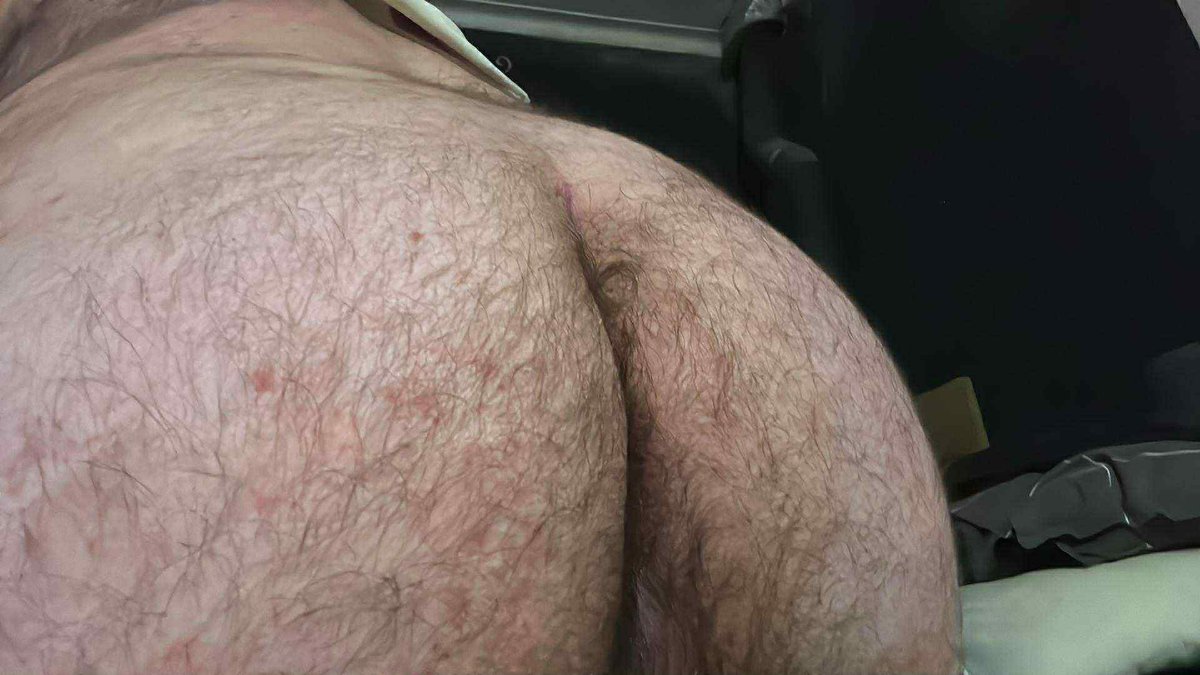 Urso Peludo 🐻🔥 tweet media