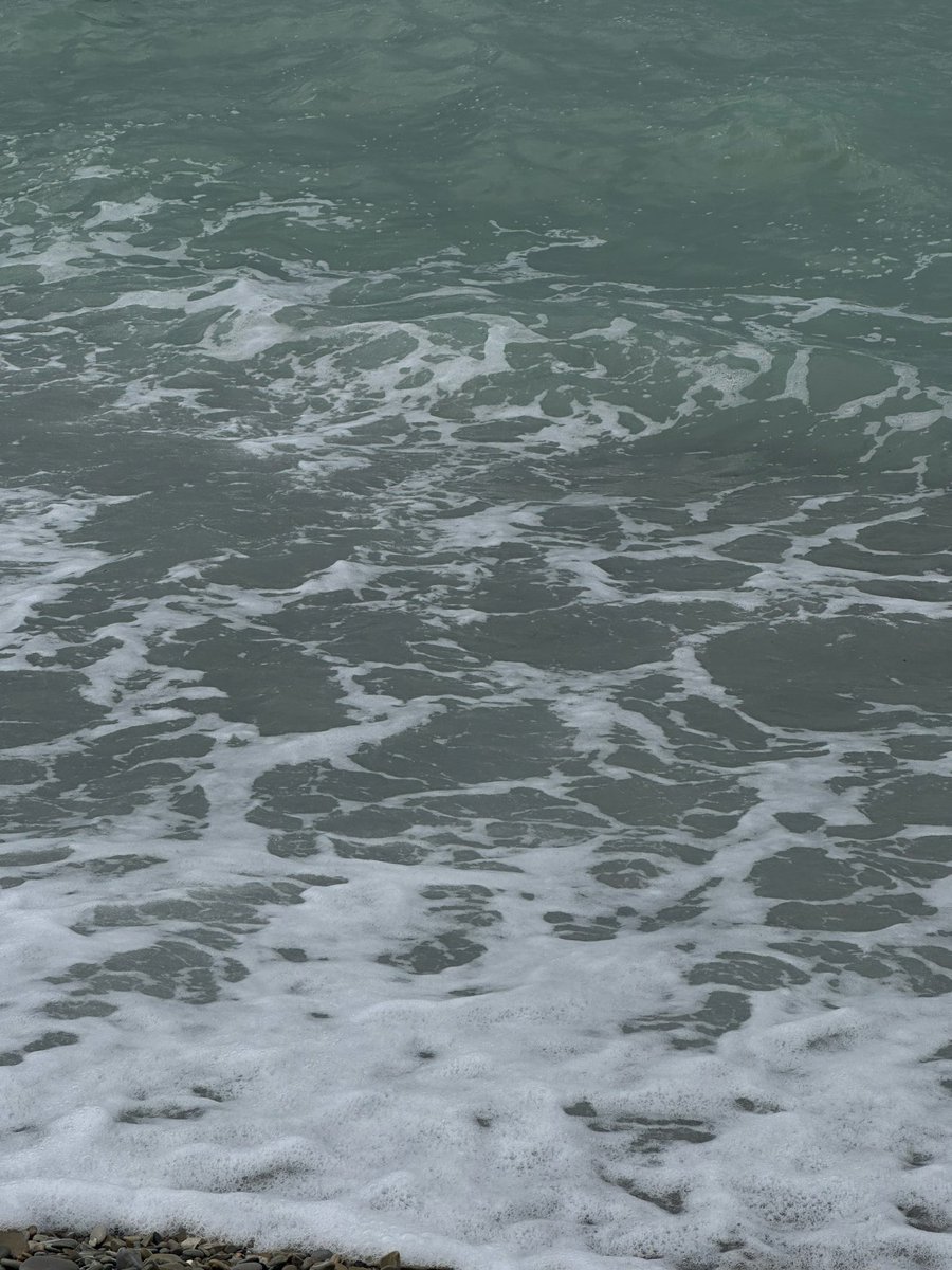 streldem tweet media