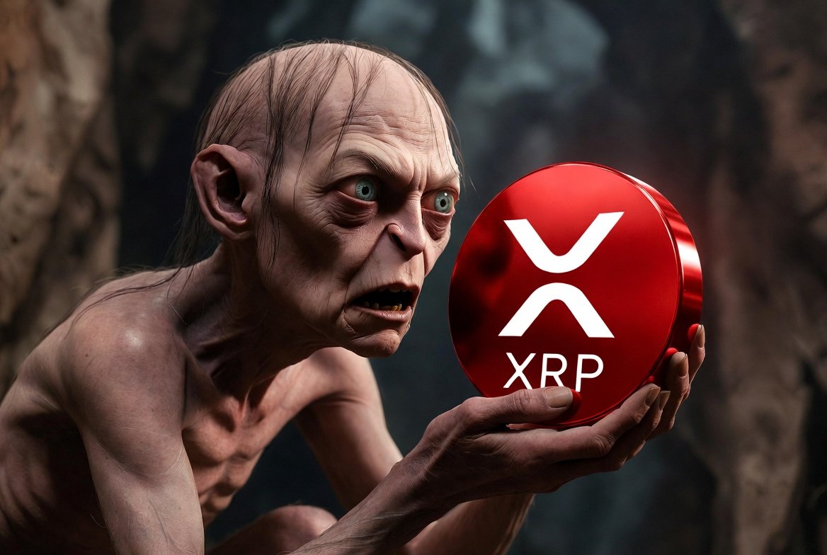 Jack Smack tweet media