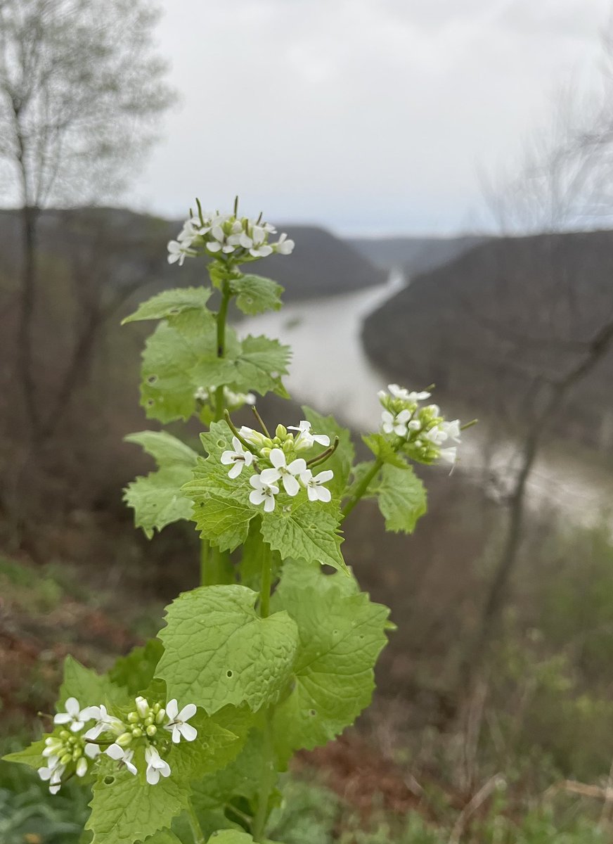 Tami Barthen tweet media