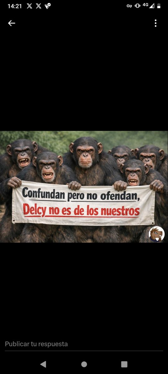 PELÓNMAT tweet media