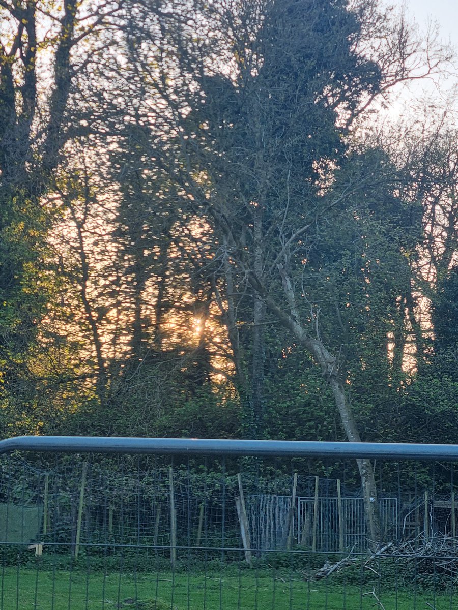 mo_racing's tweet image. A nice #Sunday #sunset over the kennels this #evening