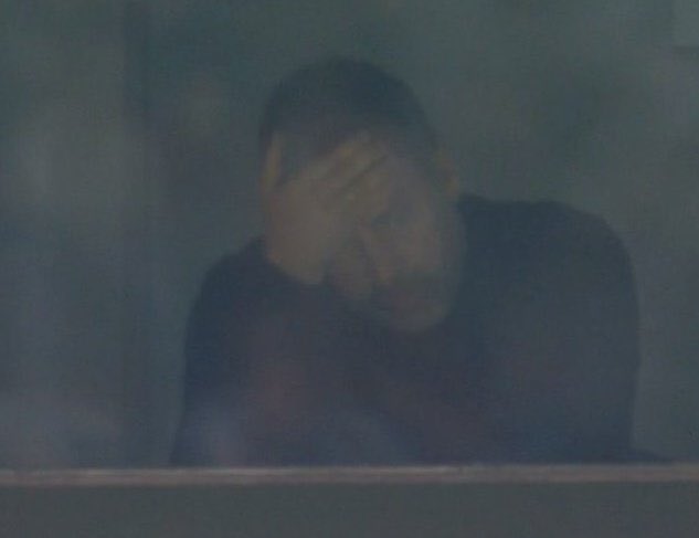 Berneese tweet media