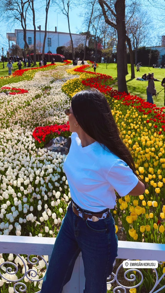 𝙣𝙪𝙧 tweet media