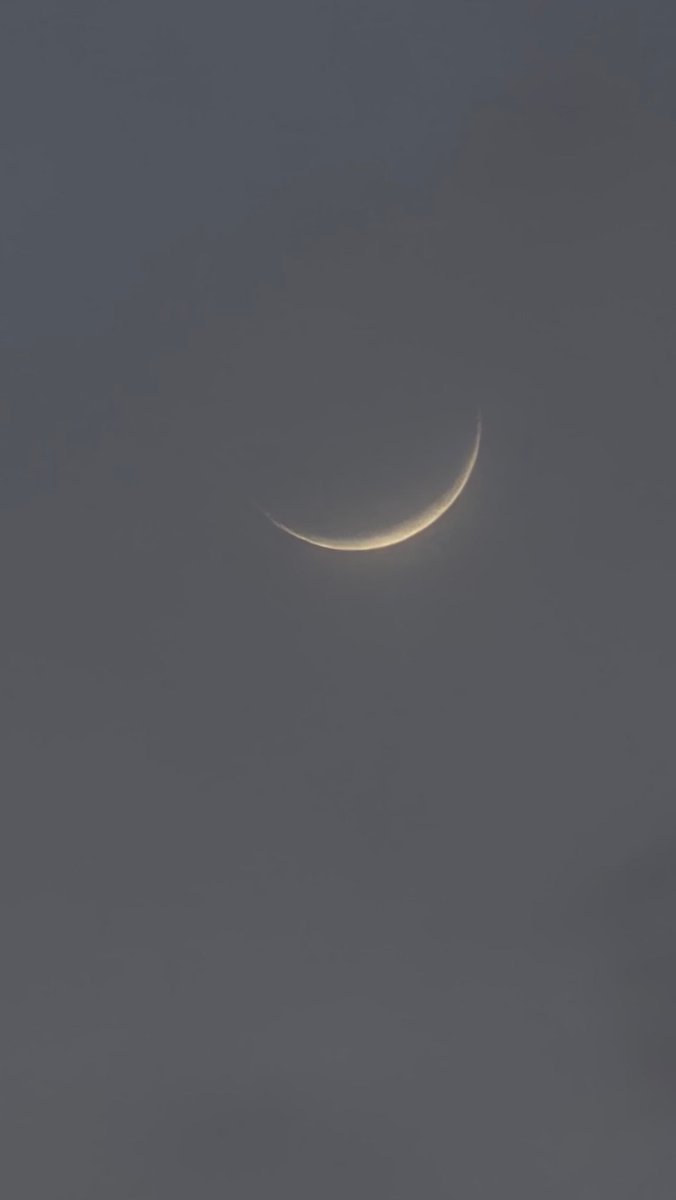 Sain_foin's tweet image. 19-04-2026
#RandomClick