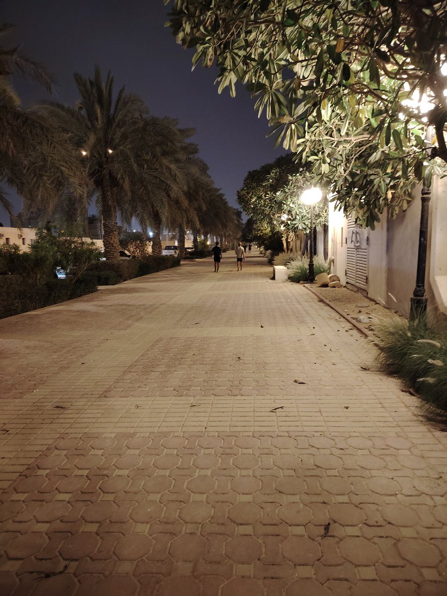 محمد حمادنة tweet media