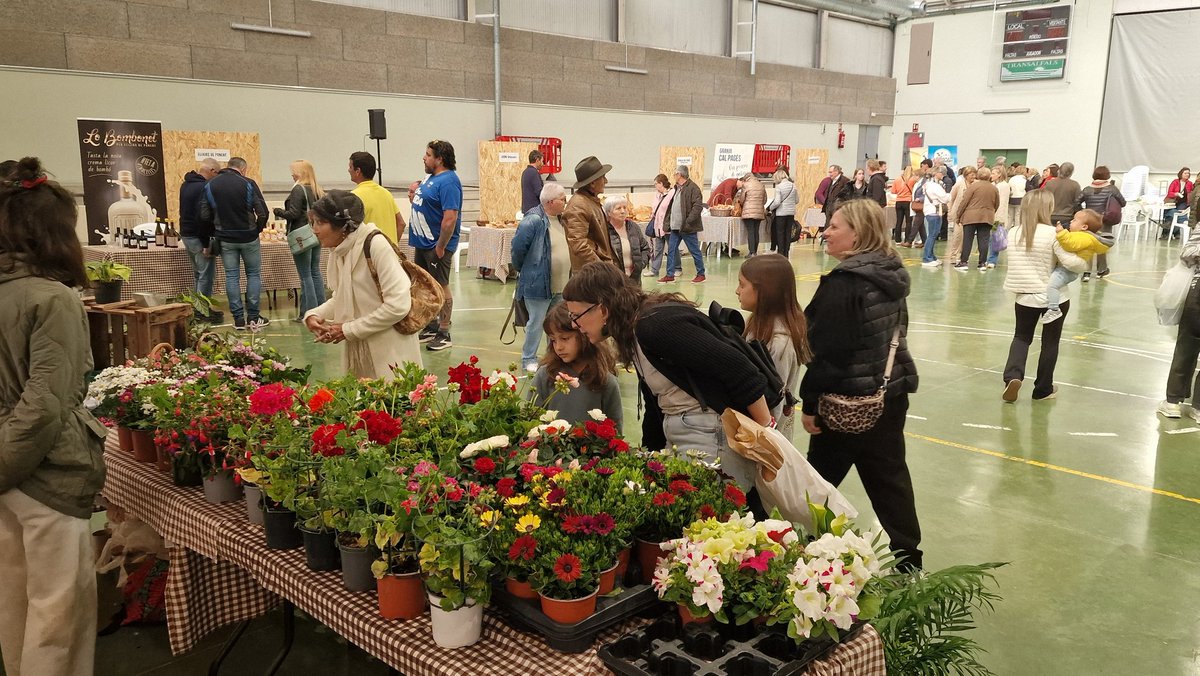 Fira Horticultura tweet media