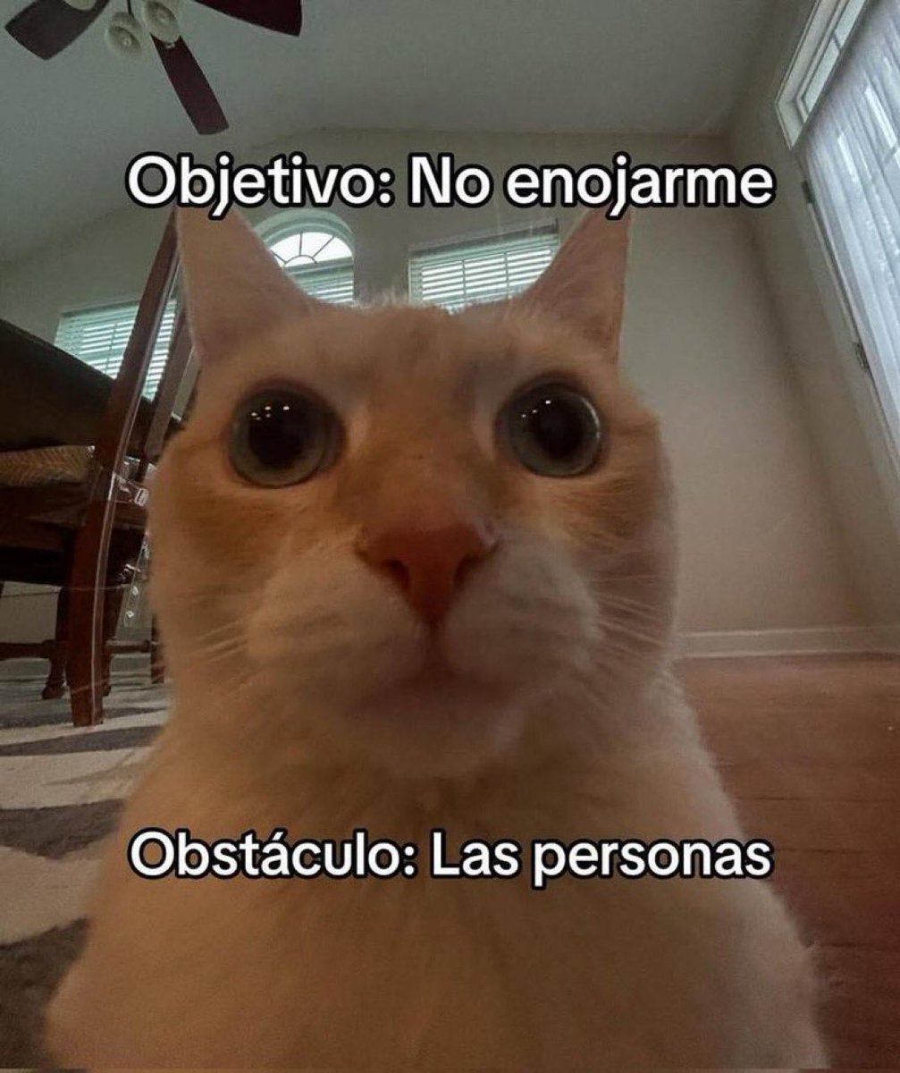 piña sin pizza tweet media