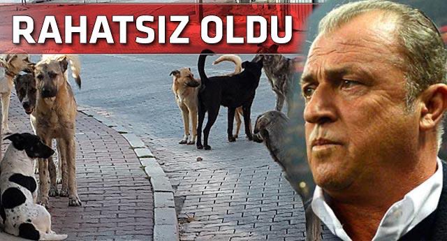 dide tweet media