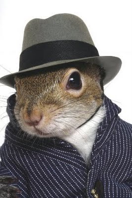 ✝️🇺🇸🕵️ Secret Agent Squirrel🐿️🇺🇸✝️ tweet media