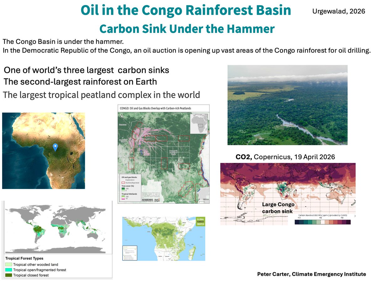 PCarterClimate's tweet image. CONGO GOVERNMENT AUCTIONING RAINFOREST FOR OIL 
One of world’s three largest  carbon sinks
The second-largest rainforest on Earth
The largest tropical peatland complex in the world (carbon rich)
gogel.org/oil-congo-basi…
#environment #climatechange #globalwarming #rainforest