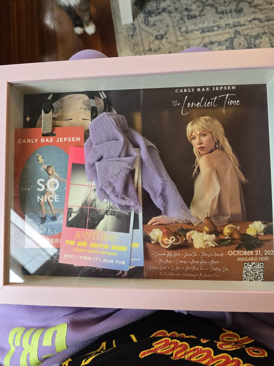 I don't have Disco Darling but I did put my VIP stuff from The Loneliest/Loveliest time era in this shadow box.