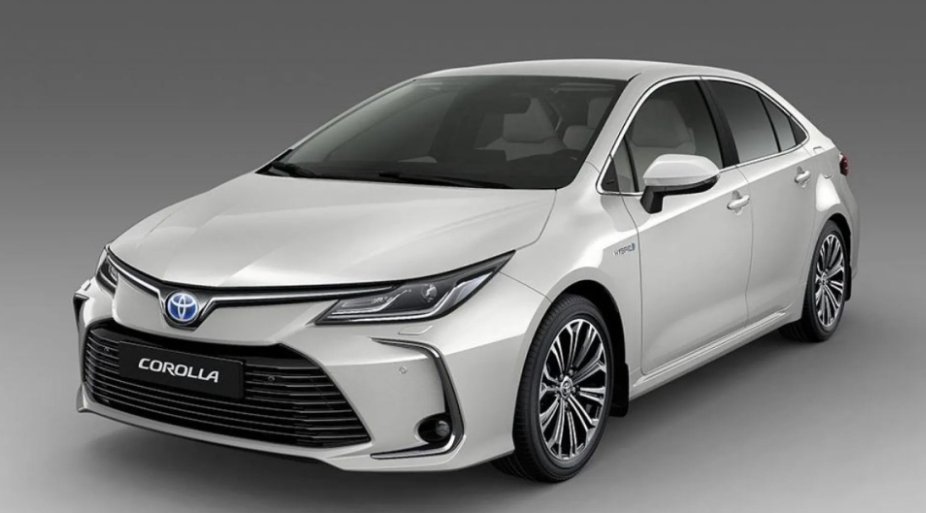 Margasi 🇹🇷 tweet media