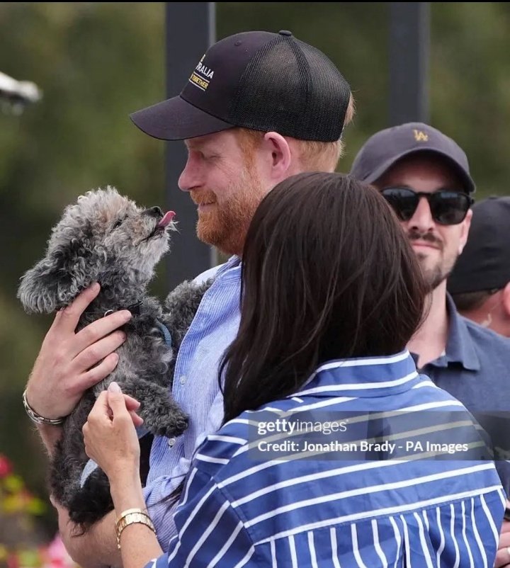 '#Phil - Au -Sophie' tweet media