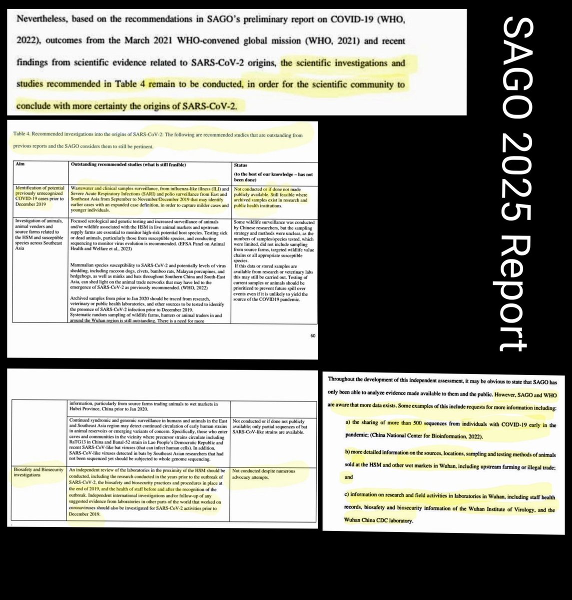 MJ Allen tweet media