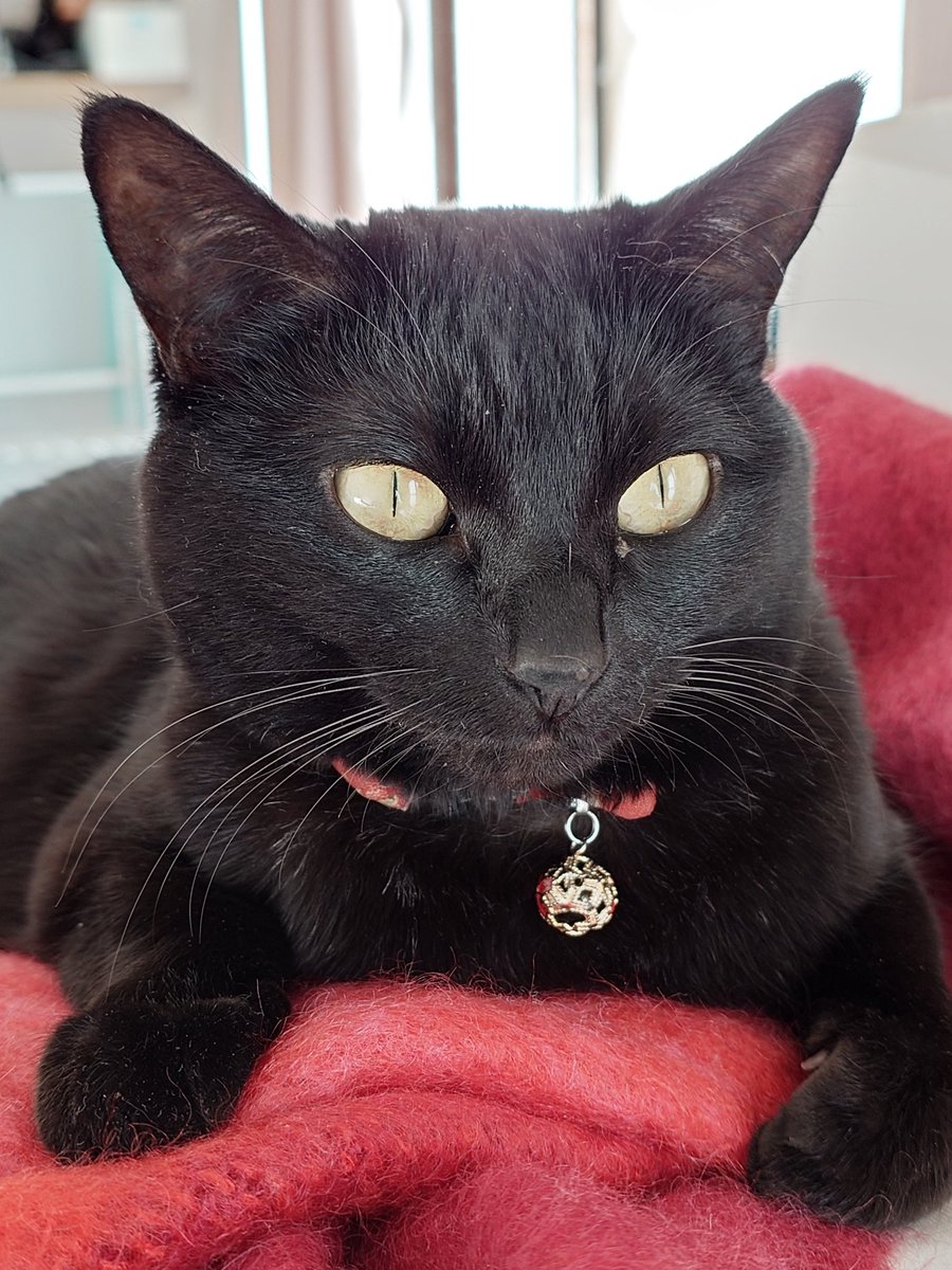 三重みえ tweet media