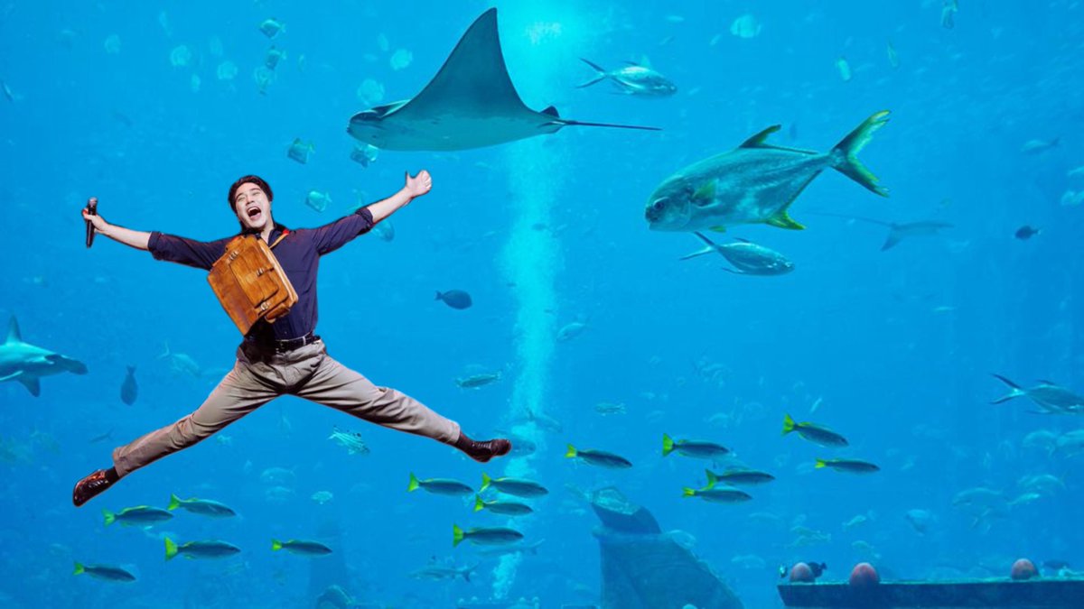 บุคคลที่เเพ้สมบัติ‧₊˚✧ tweet media