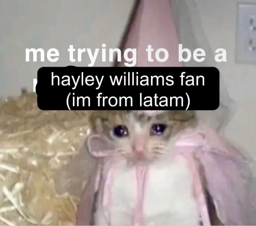 Just Sarahausen 🏳️‍⚧️ tweet media