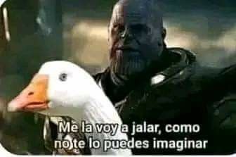 Mayoneso tweet media