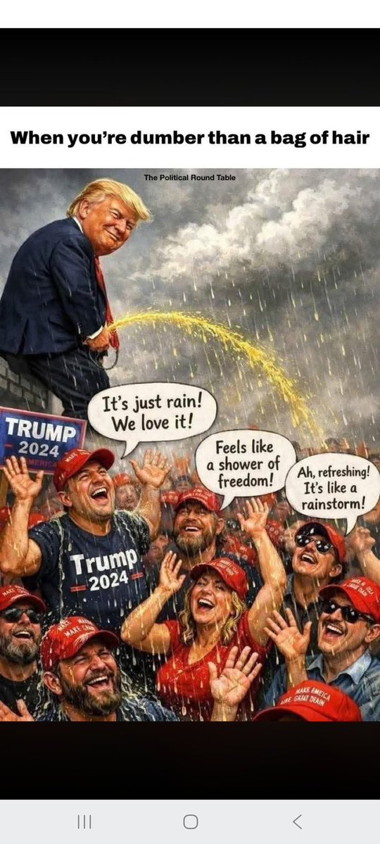 MagaAreAnti-AmercanTraitors! tweet media