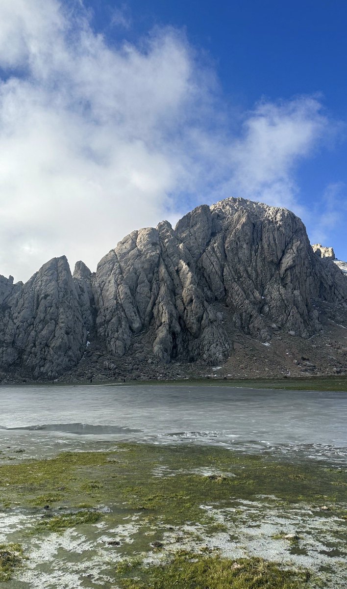 نَجمٰ⭐️🇩🇿 tweet media