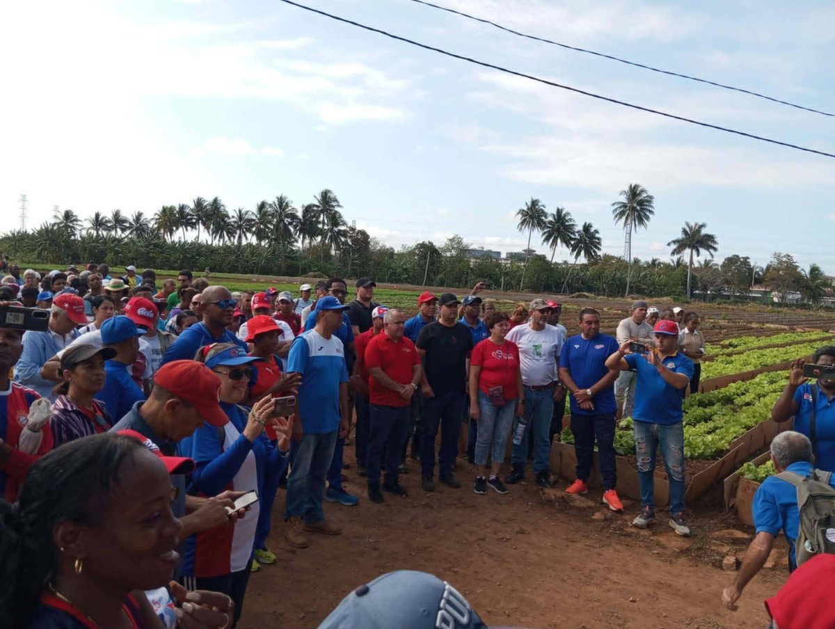 Colina_CTCuba's tweet photo. Porque #CubaEstáFirme hoy, mañana y siempre, desde el surco dijimos ¡Presente! en un día histórico para la Patria.

#LaPatriaSeDefiende
#GirónEsHoy https://t.co/sHGvFoKvhF