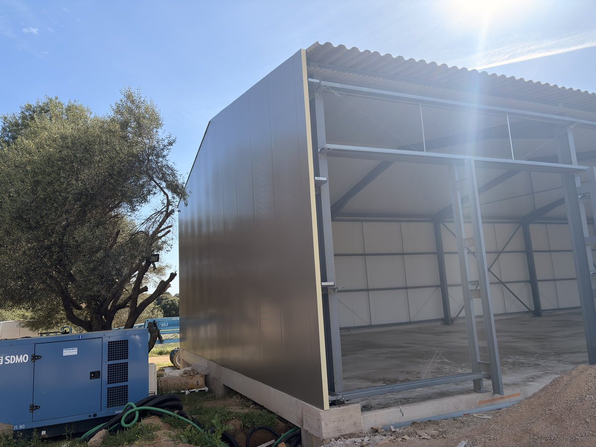 Alex 🏄‍♂️💭 tweet media