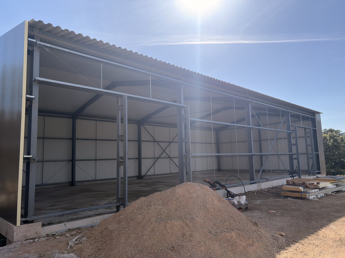 Alex 🏄‍♂️💭 tweet media