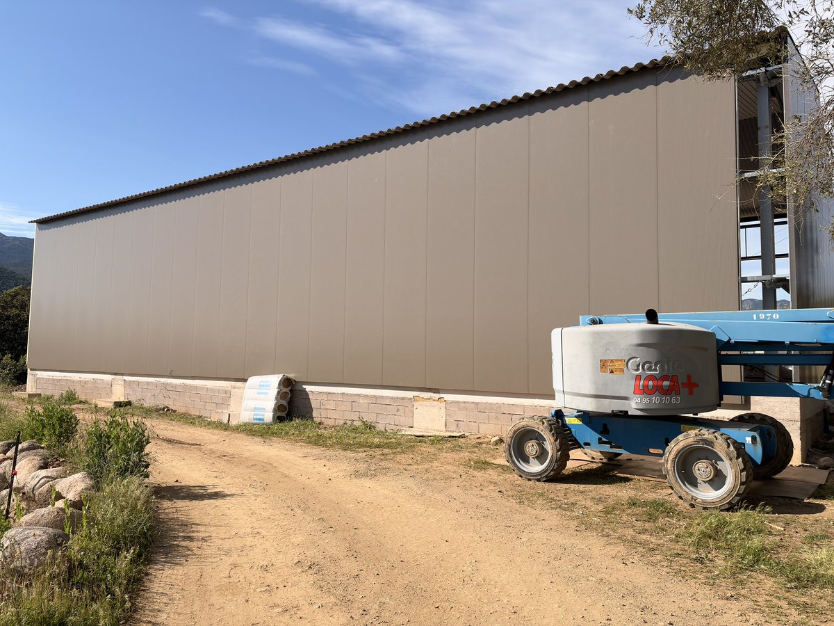 Alex 🏄‍♂️💭 tweet media