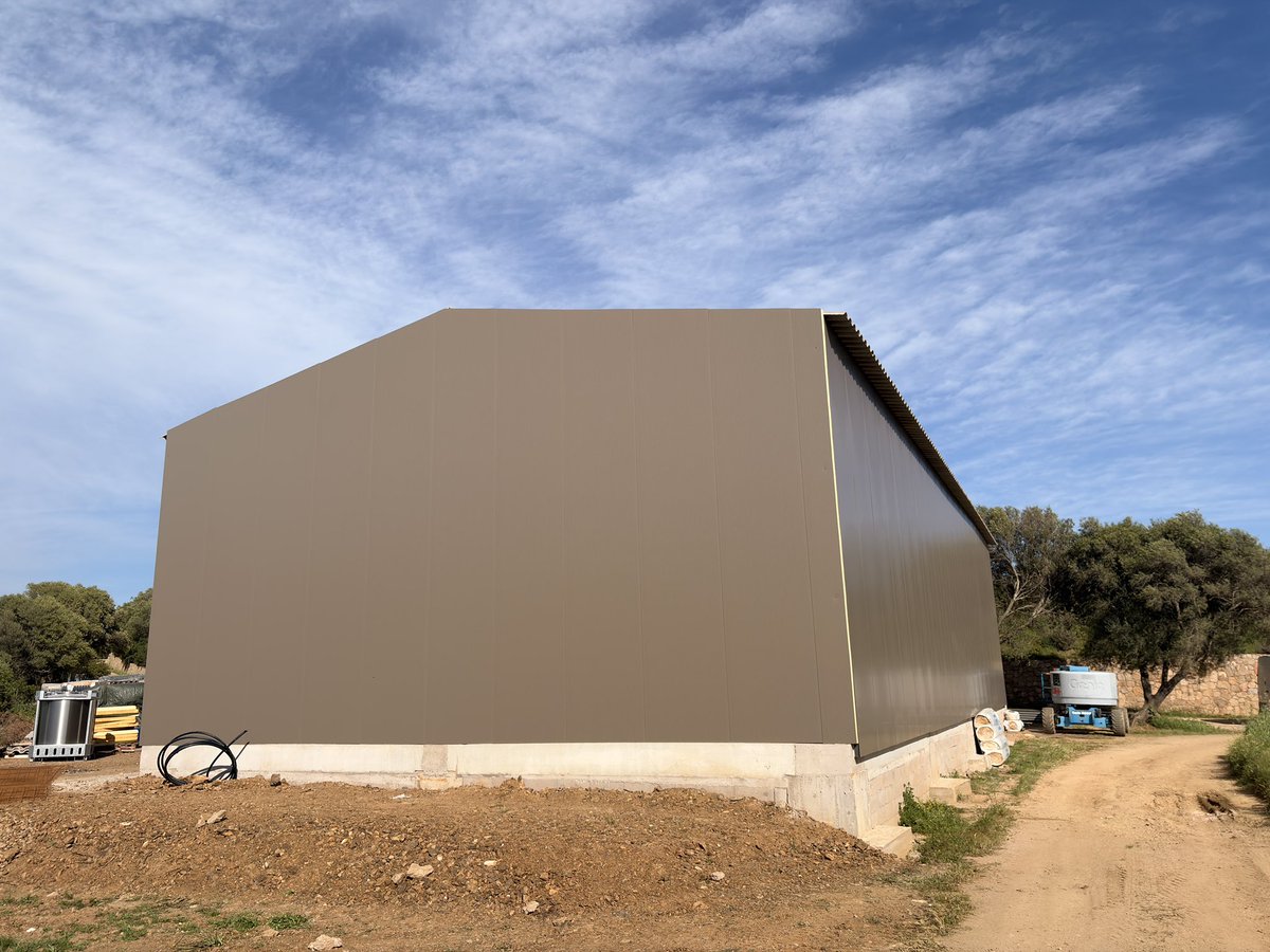 Alex 🏄‍♂️💭 tweet media