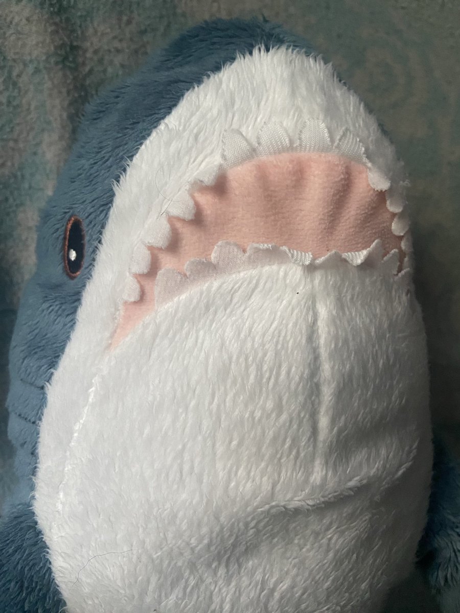 lumpi / My Angel Ina tweet media