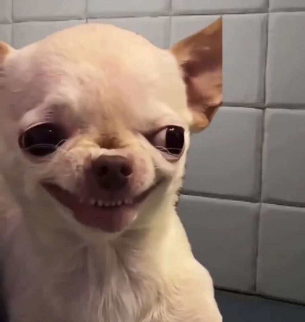 Please remove all sharp objects near arsenal fans