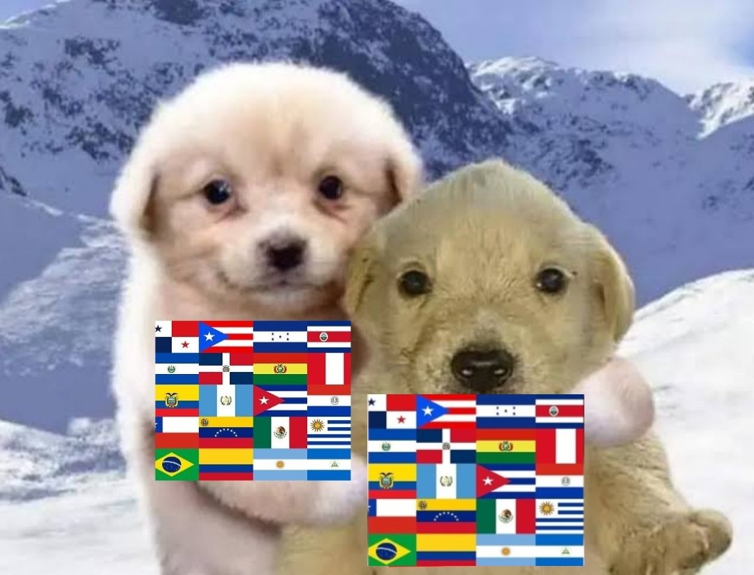 Diana🇲🇽🏳️‍⚧️queso ahumado a la parrilla tweet media