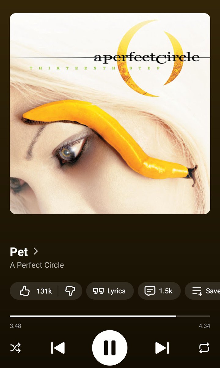 xcmarma's tweet photo. Today's masterpiece: @aperfectcircle #thirteenthstep. I love this album so damn much! 🥹 https://t.co/FKIuNxQy5S