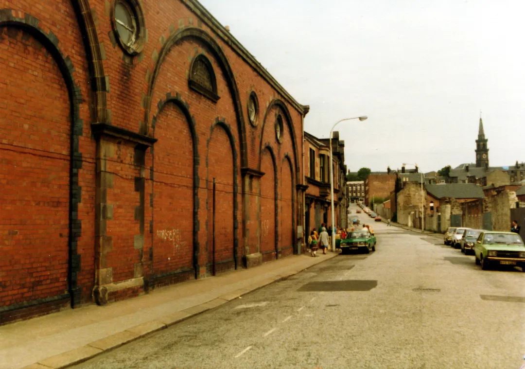 The Suly shamrock 🍀 tweet media