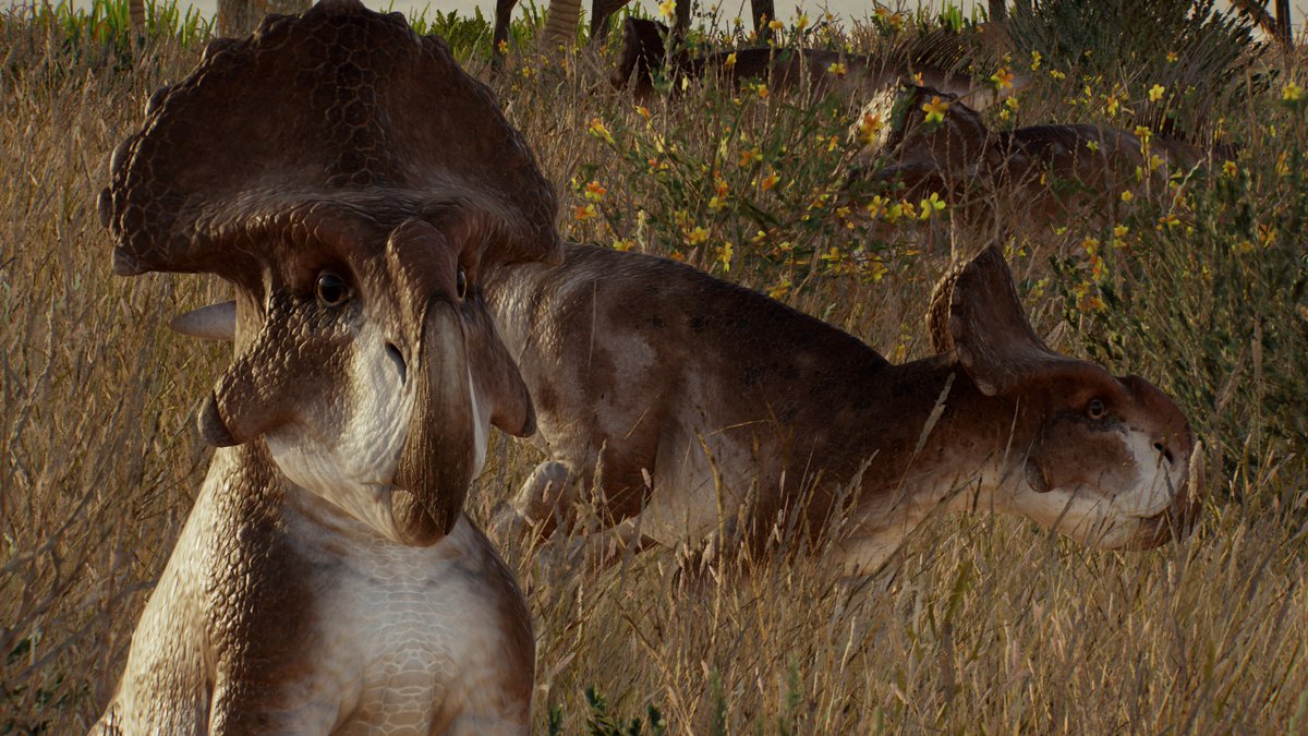 BennyT71901559's tweet image. The First Horned Face: Protoceratops!

#JurassicWorldEvolution3 #dinosaurs