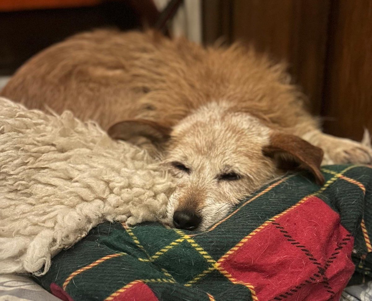 chris towers tweet media