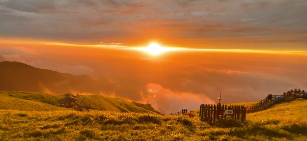 Valentina Proietto tweet media