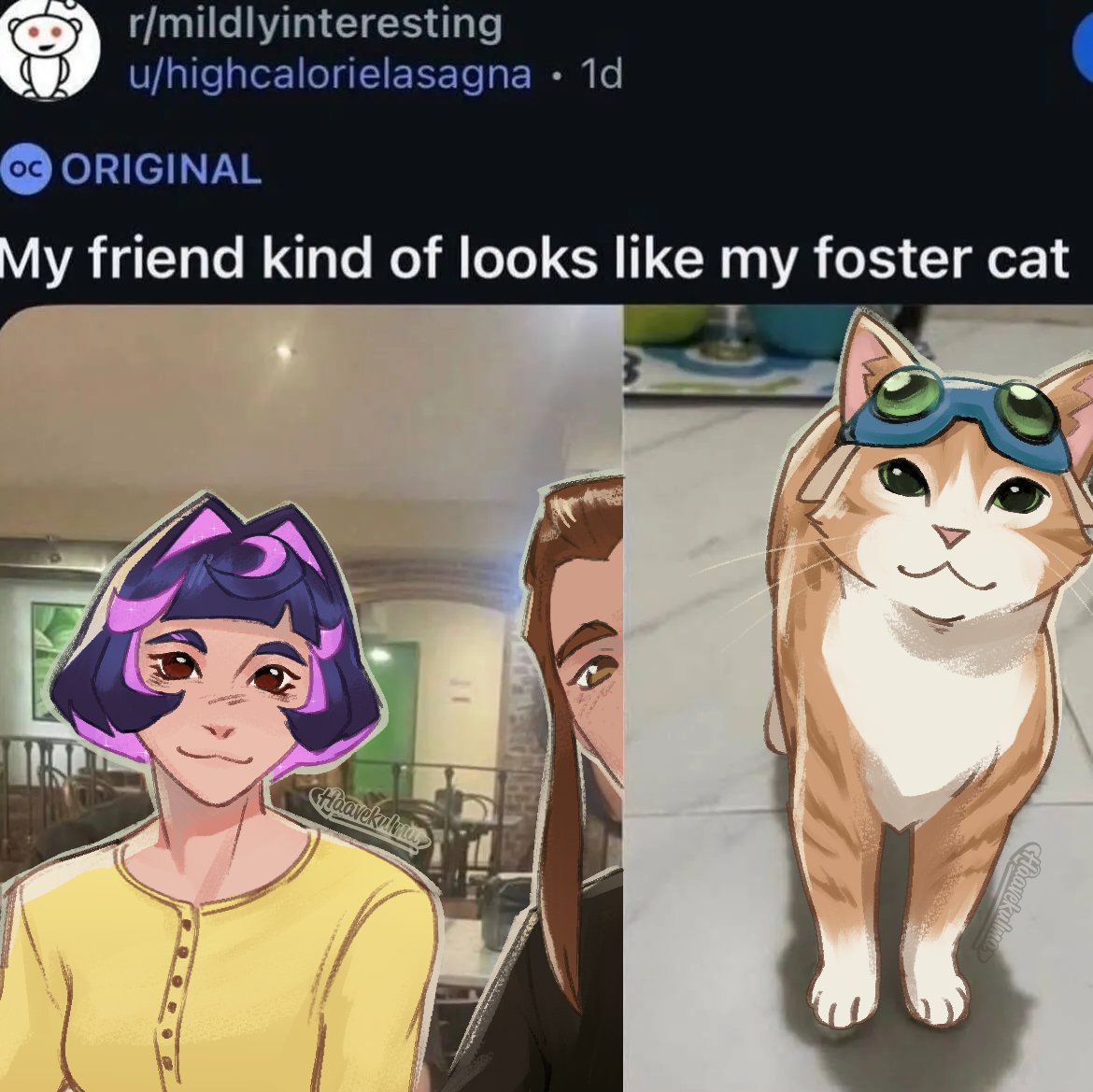 haavekulma ★ tweet media