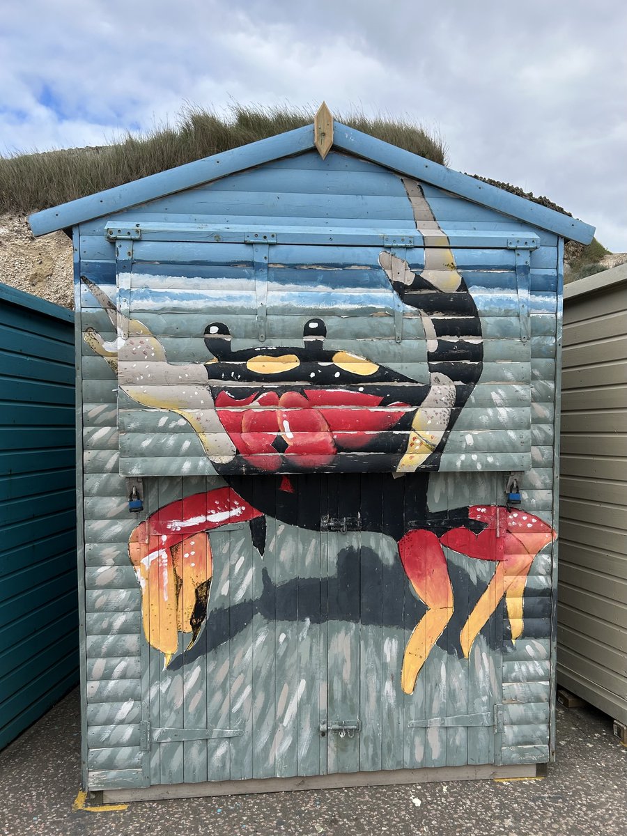 Sara Turle 💙 tweet media