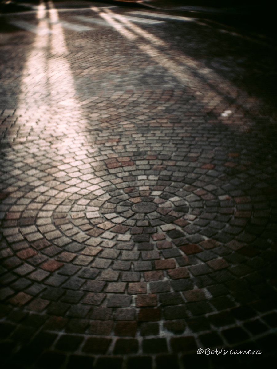 よボブ tweet media