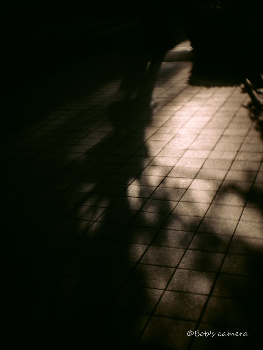 よボブ tweet media