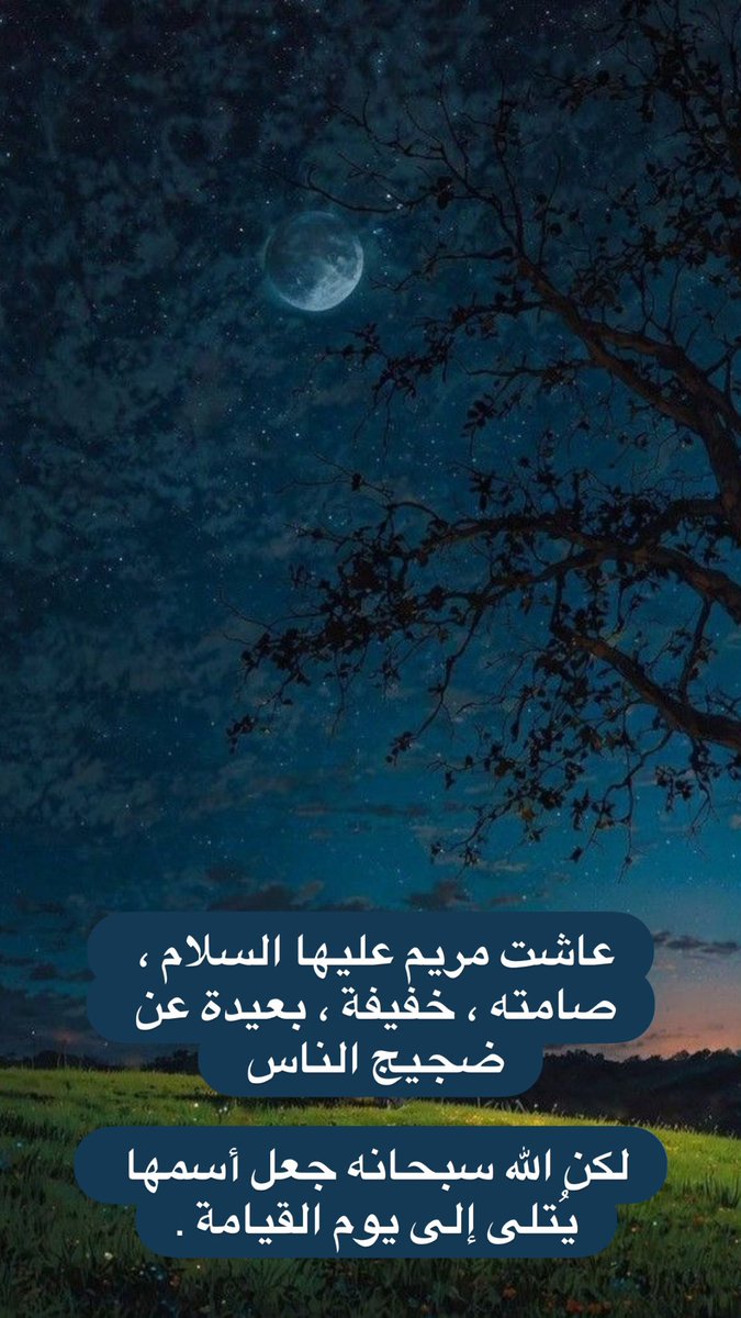 سلطان الشمري tweet media