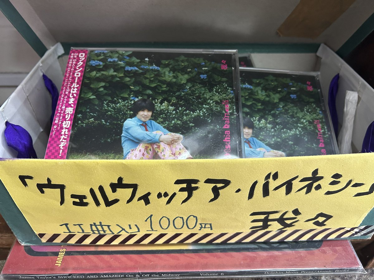 コマツ（我々／デアデビ） tweet media