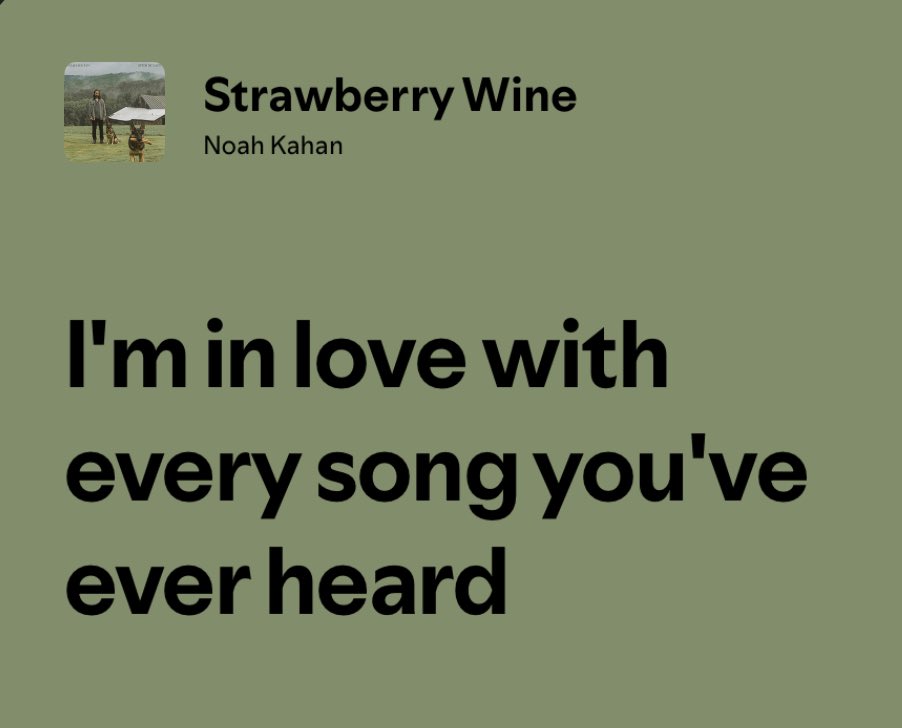 lulli ☾ tweet media