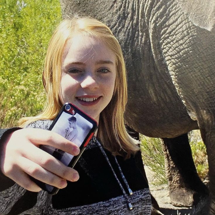 niu 🦕 tweet media