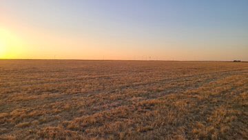 burnside4141s's tweet image. Thursday evening, opening day of OK panhandle antelope controlled hunt - took 28 years to draw tag, had to find landowners for permission. Bedded in hay pasture, crawled 175 yards for 228 yard shot. #antelope #hunting #huntingseason #fillthefreezer @pensfannc5 @Treestand_tweet