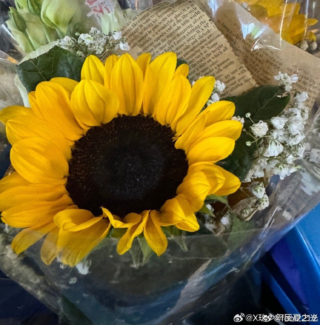 Goran Raskovic tweet media