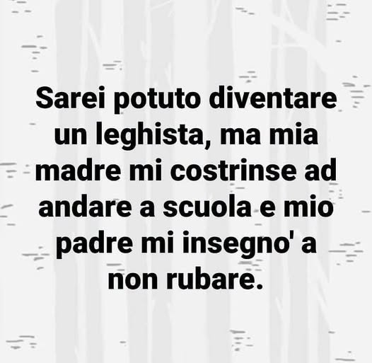 dario f. tweet media