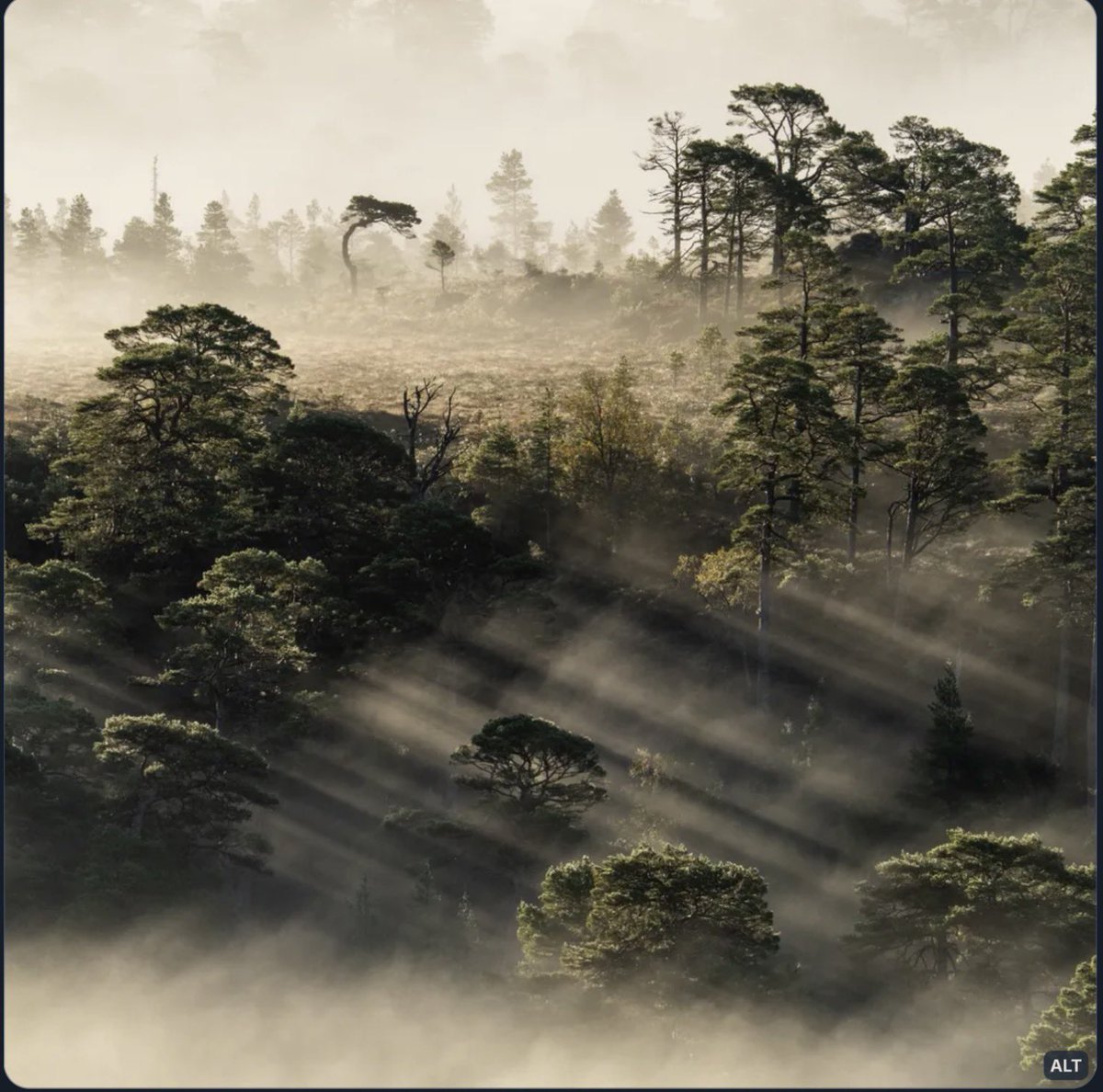 Pavlo 🏝️🐬 tweet media